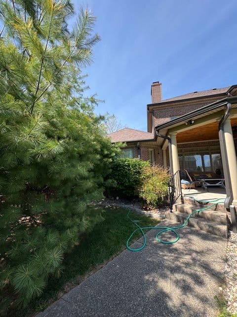 House exterior featuring a green pine tree, garden area, and patio with a hose on the walkway.