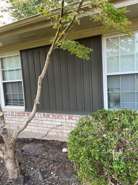 House exterior with dark paneling, a tree branch, and manicured shrubs. Bright windows visible.