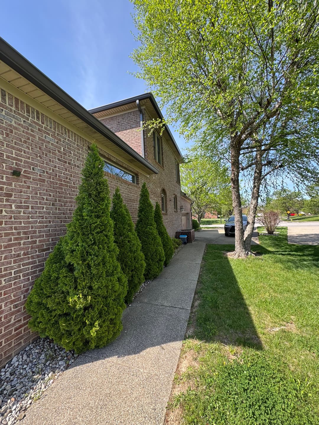 Pathway leading to a brick house with manicured shrubs and green grass on a sunny day.
