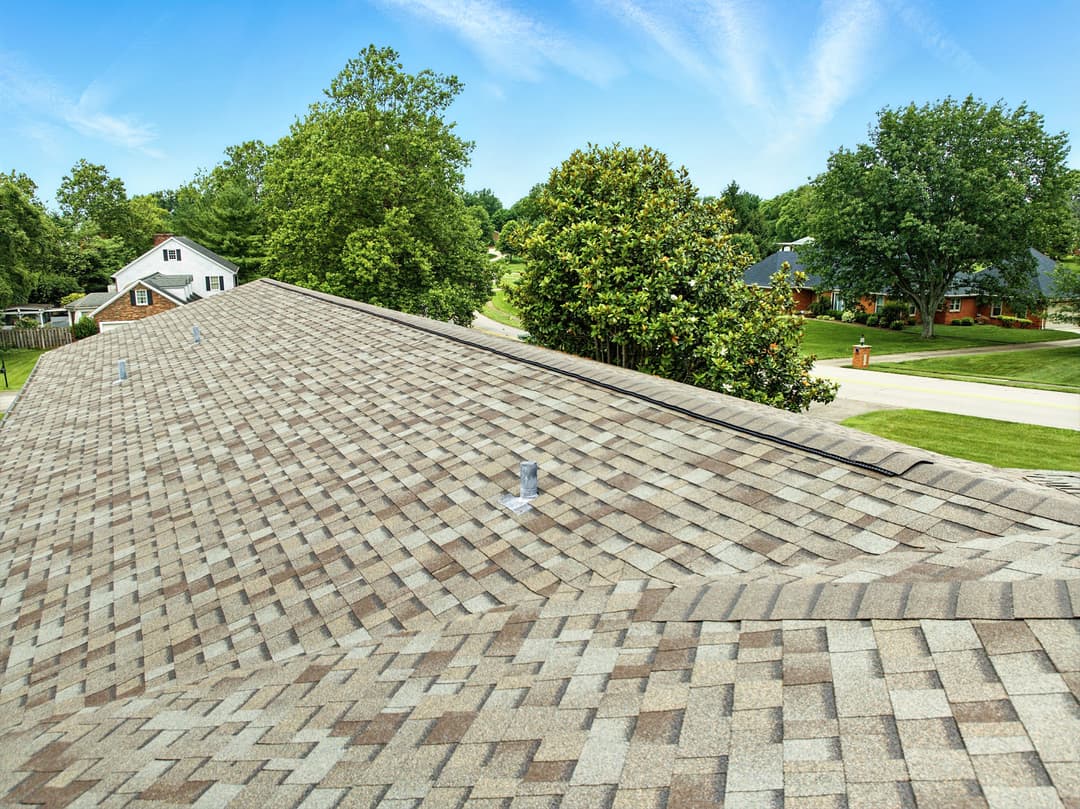 Aerial view of a sloped roof with asphalt shingles and lush green trees in the background.